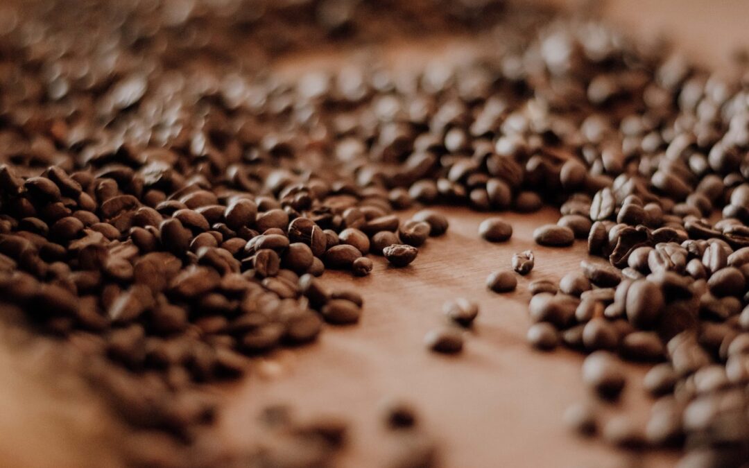 Five Points Trade Corp. y ACAFESAL organizan “Los mejores sabores de Café de El Salvador”